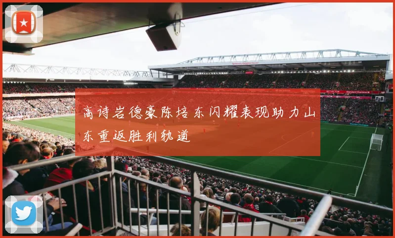 高诗岩德豪陈培东闪耀表现助力山东重返胜利轨道